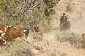 3_10_Yuma_105