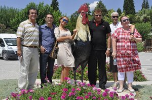 Altin_Horoz_13