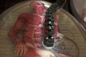 Ada_51