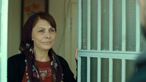 Yagmur_Kiyamet_Cicegi_02