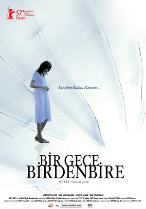 Bir_Gece_Birdenbire_Afis_01
