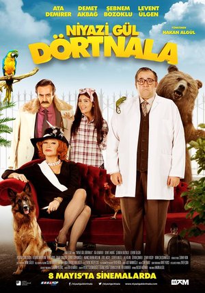 Niyazi_Gul_Dortnala_Afis_02