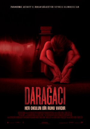 Daragaci