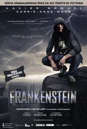 Frankenstein_Afis_01