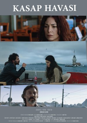 Kasap_Havasi_Afis_02