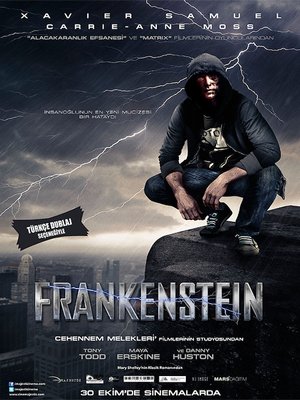 Frankenstein_Afis_02