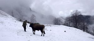 Kalandar_Sogugu_46