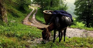 Kalandar_Sogugu_30