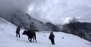 Kalandar_Sogugu_52