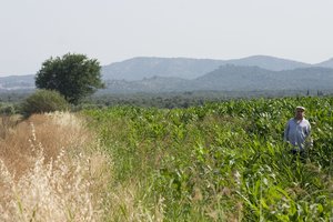 Hayattan_Korkma_59