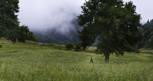 Ruzgarin_Hatiralari_07