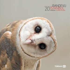 2017_Randevu_Istanbul_Film_Festivali_Afis_03