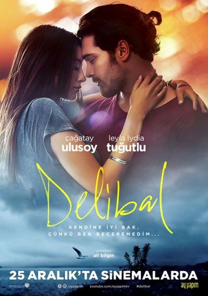 Delibal_Afis_02