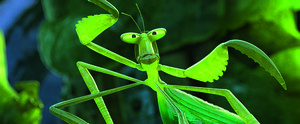 Kung_Fu_Panda_3_11