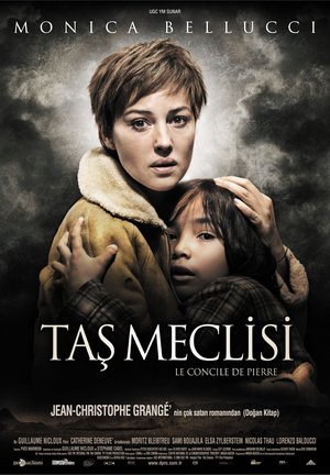 Tas_Meclisi_Afis_02