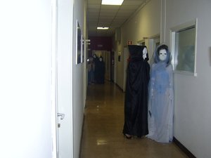 2008_Pfizer_Koridorda