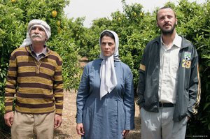 Limon_Agaci_06