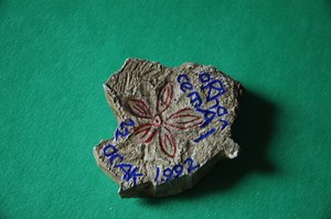 Firtina_59