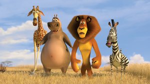 Madagaskar_2_07