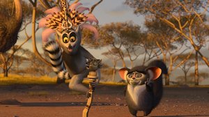 Madagaskar_2_09