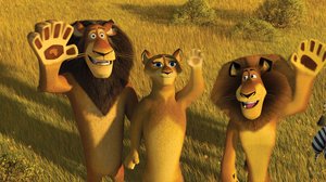 Madagaskar_2_12