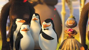 Madagaskar_2_13