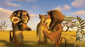 Madagaskar_2_17