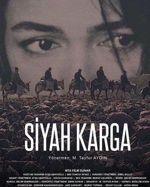 Siyah_Karga_Afis_04