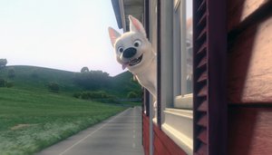 Bolt_12