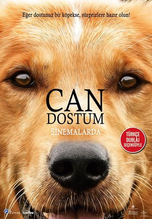 Can_Dostum