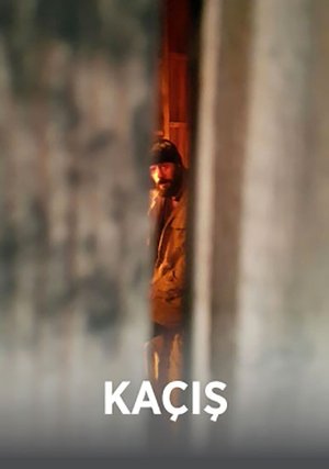 Kacis_01