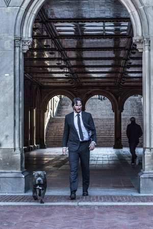 John_Wick_Chapter_2_12