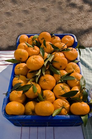 Hadigari_Cumhur_046