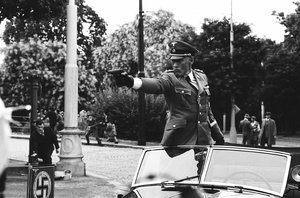 Anthropoid_16