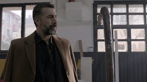 Parayi_Bulduk_16