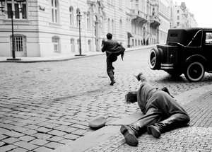 Anthropoid_05