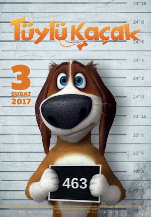Tuylu_Kacak