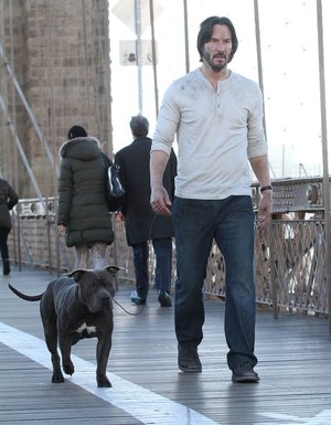 John_Wick_Chapter_2_24