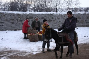 Deli_Deli_Olma_034