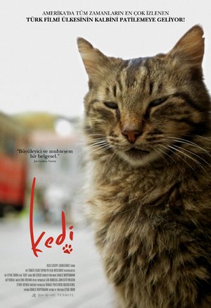 Kedi_Afis_01