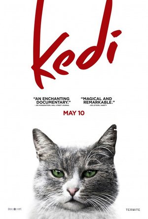 Kedi_Afis_03