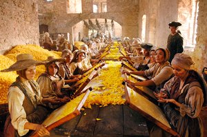 Koku_Bir_Katilin_Hikayesi_26