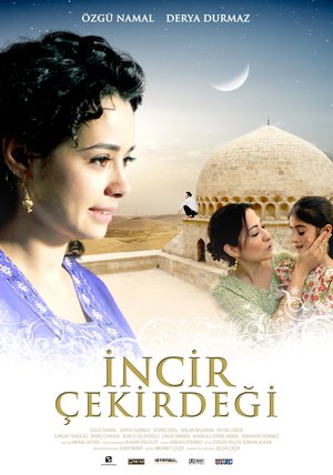 Incir_Cekirdegi_Afis