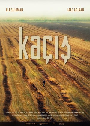 Kacis