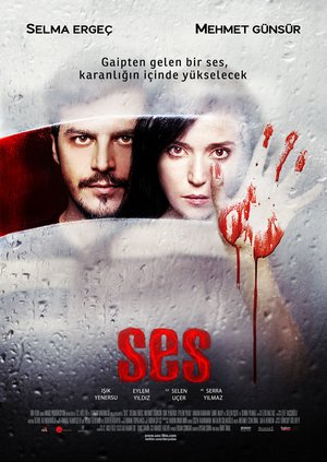 Ses_Afis_01