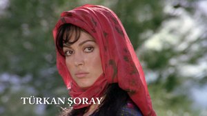 Selvi_Boylum_Al_Yazmalim_20