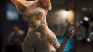 Kediler_Ve_Kopekler_Kitty_Galoreun_Intikami_01