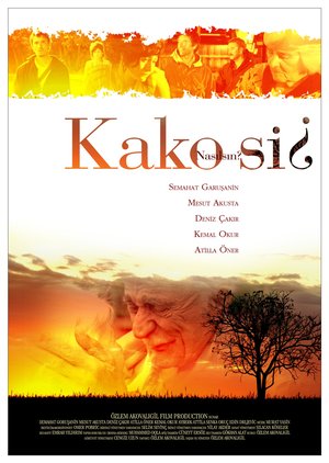 Kako_Si_Afis_03