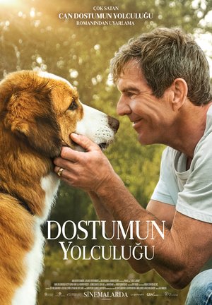Dostumun_Yolculugu