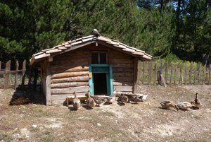 Kukuriku_Kadin_Kralligi_12